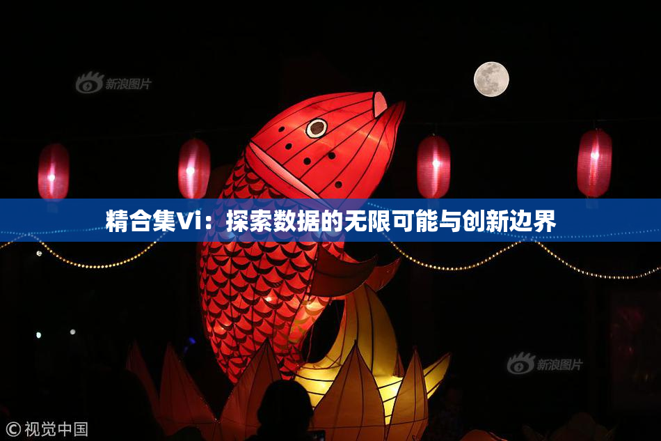精合集Vi：探索数据的无限可能与创新边界