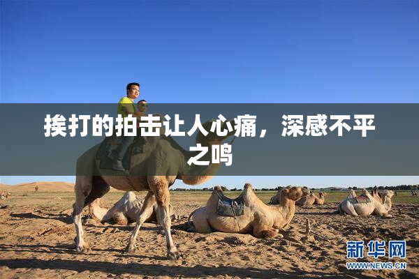 挨打的拍击让人心痛，深感不平之鸣