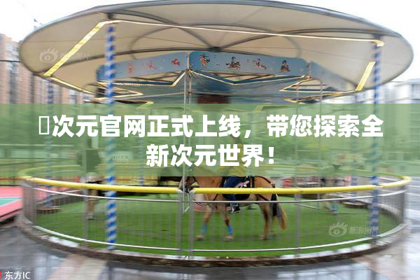 囧次元官网正式上线，带您探索全新次元世界！