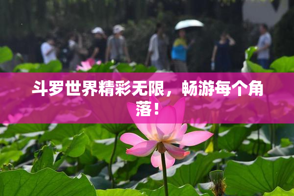 斗罗世界精彩无限，畅游每个角落！