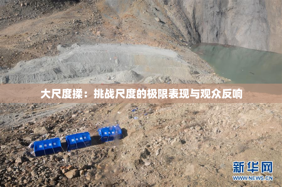 大尺度揉：挑战尺度的极限表现与观众反响