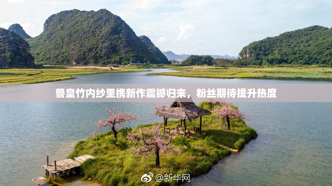 兽皇竹内纱里携新作震撼归来，粉丝期待提升热度