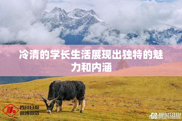 冷清的学长生活展现出独特的魅力和内涵
