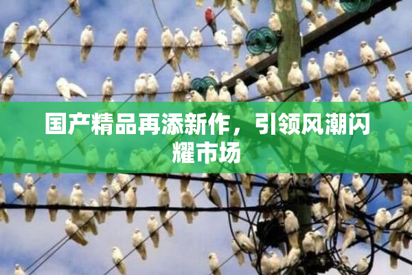 国产精品再添新作，引领风潮闪耀市场