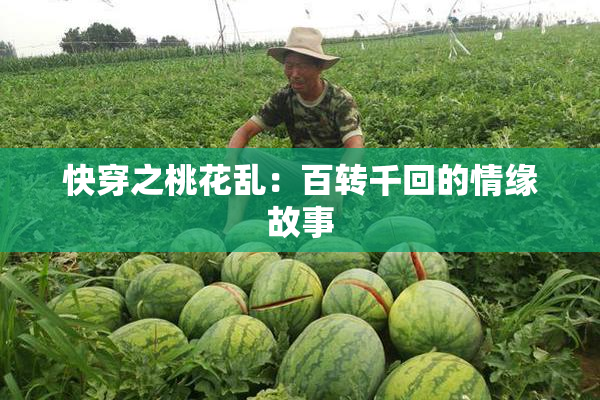 快穿之桃花乱：百转千回的情缘故事