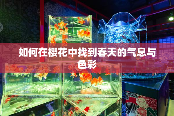 如何在樱花中找到春天的气息与色彩