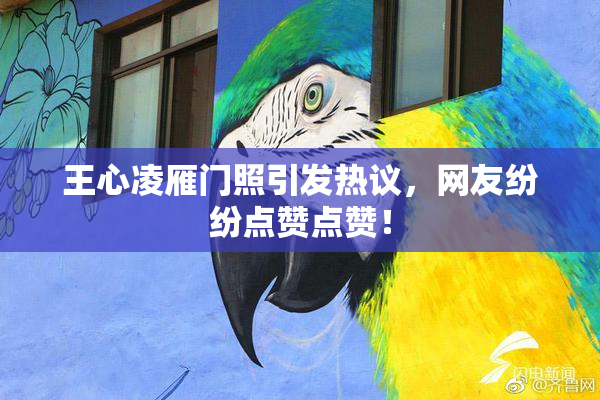 王心凌雁门照引发热议，网友纷纷点赞点赞！