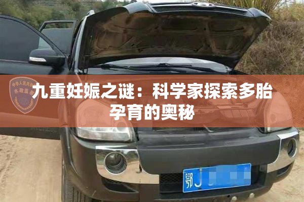 九重妊娠之谜：科学家探索多胎孕育的奥秘