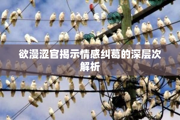 欲漫涩官揭示情感纠葛的深层次解析