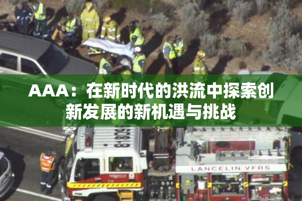 AAA：在新时代的洪流中探索创新发展的新机遇与挑战