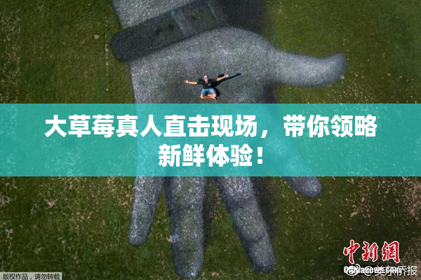 大草莓真人直击现场，带你领略新鲜体验！