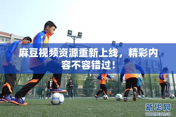麻豆视频资源重新上线，精彩内容不容错过！