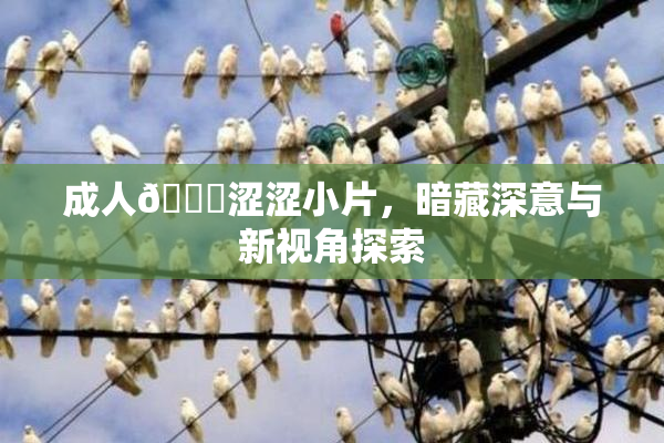 成人🔞涩涩小片，暗藏深意与新视角探索