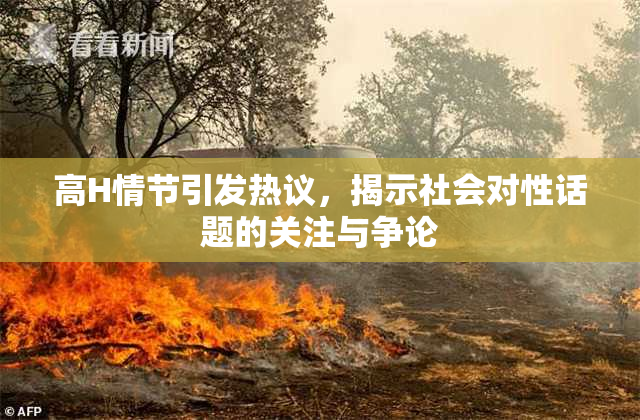 高H情节引发热议，揭示社会对性话题的关注与争论