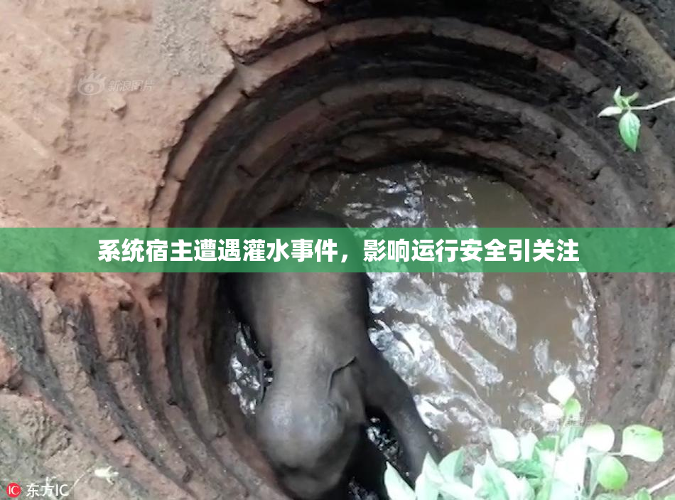 系统宿主遭遇灌水事件，影响运行安全引关注
