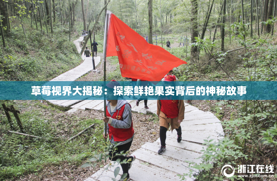 草莓视界大揭秘：探索鲜艳果实背后的神秘故事