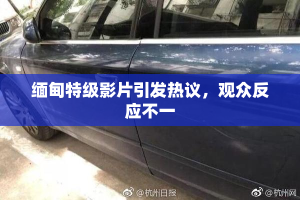 缅甸特级影片引发热议，观众反应不一