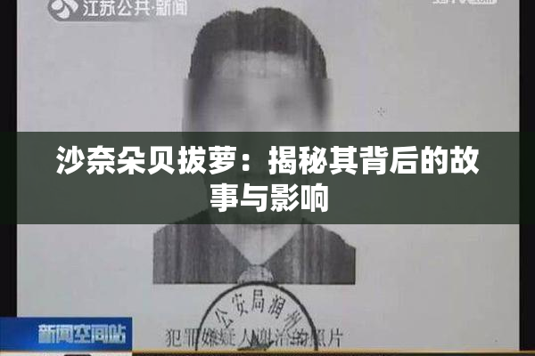 沙奈朵贝拔萝：揭秘其背后的故事与影响