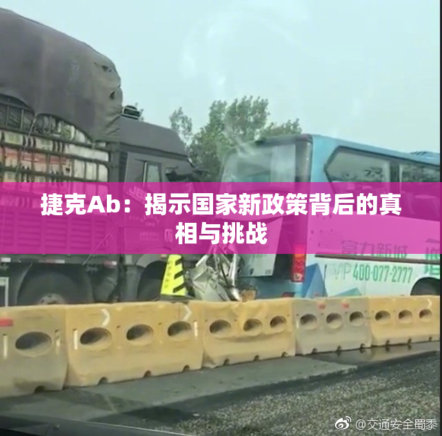 捷克Ab：揭示国家新政策背后的真相与挑战