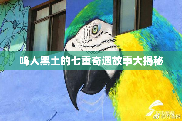 鸣人黑土的七重奇遇故事大揭秘