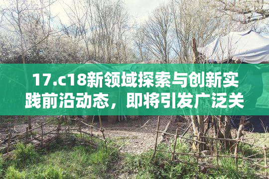 17.c18新领域探索与创新实践前沿动态，即将引发广泛关注和讨论