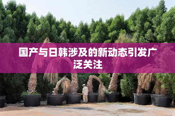 国产与日韩涉及的新动态引发广泛关注