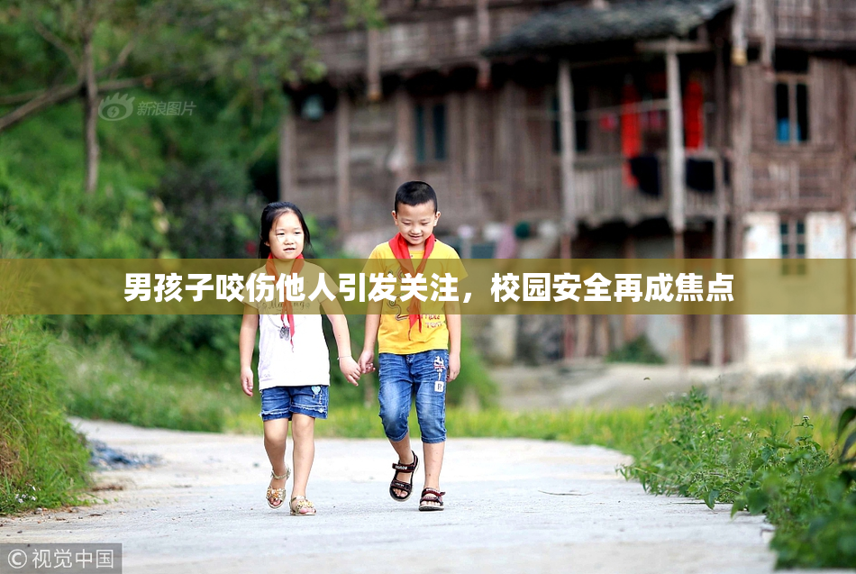 男孩子咬伤他人引发关注，校园安全再成焦点