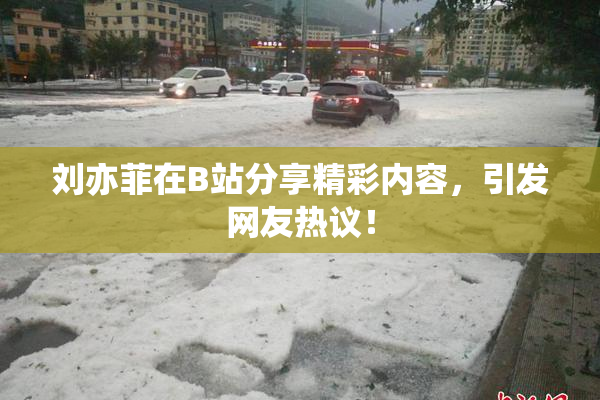 刘亦菲在B站分享精彩内容，引发网友热议！