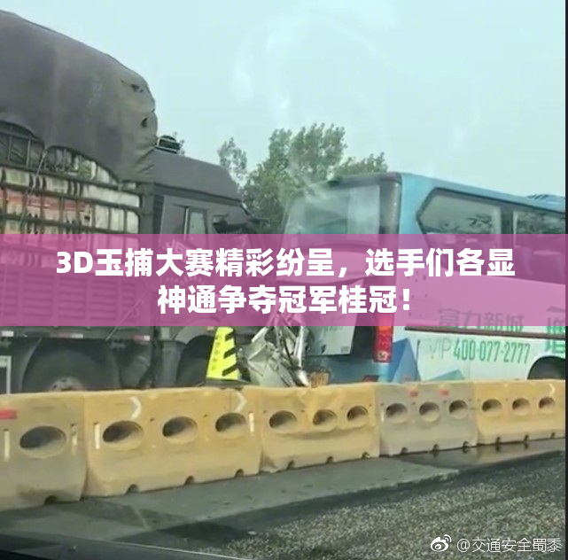 3D玉捕大赛精彩纷呈，选手们各显神通争夺冠军桂冠！