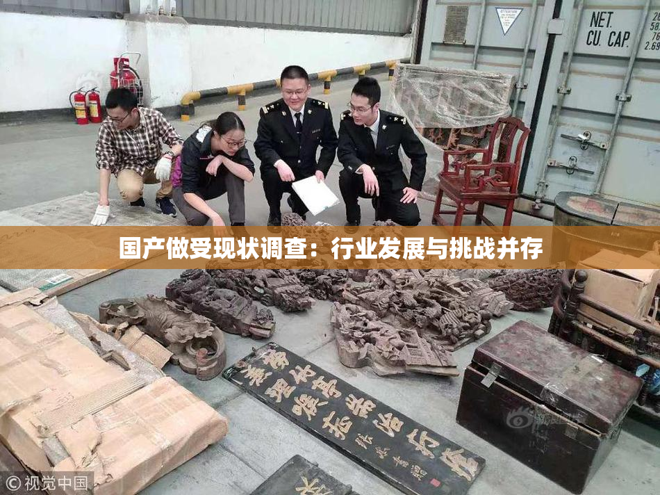 国产做受现状调查：行业发展与挑战并存