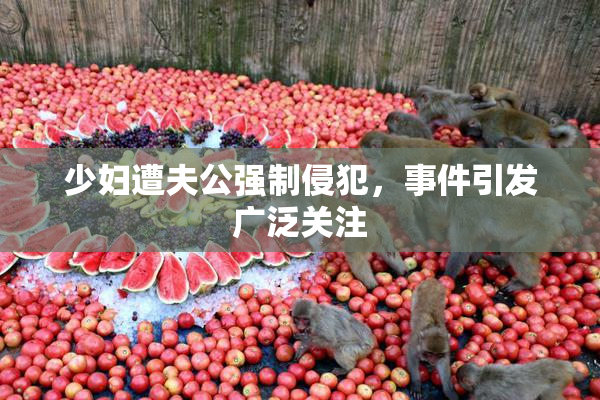 少妇遭夫公强制侵犯，事件引发广泛关注
