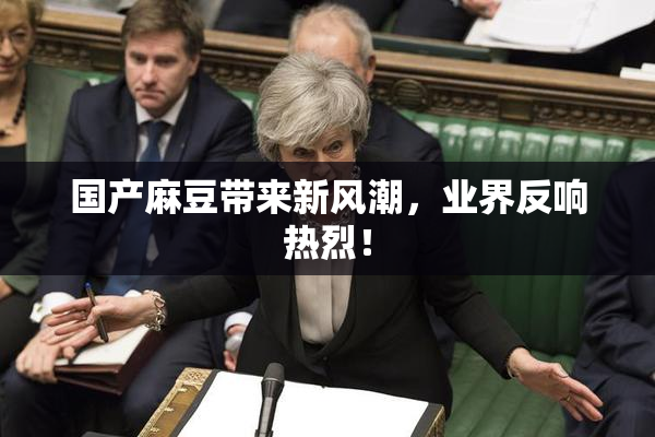 国产麻豆带来新风潮，业界反响热烈！
