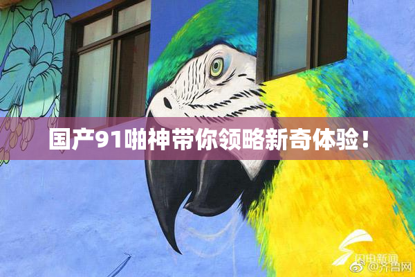 国产91啪神带你领略新奇体验！