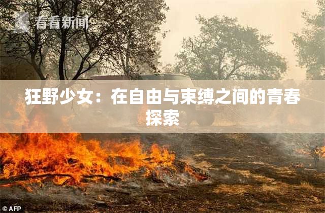 狂野少女：在自由与束缚之间的青春探索