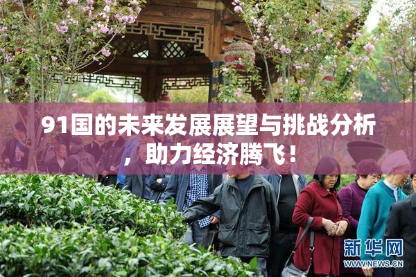 91国的未来发展展望与挑战分析，助力经济腾飞！