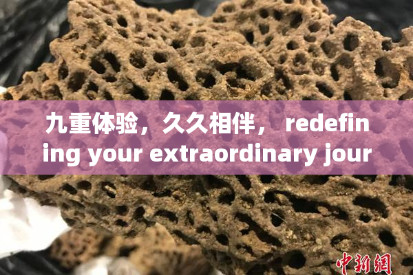 九重体验，久久相伴， redefining your extraordinary journey!