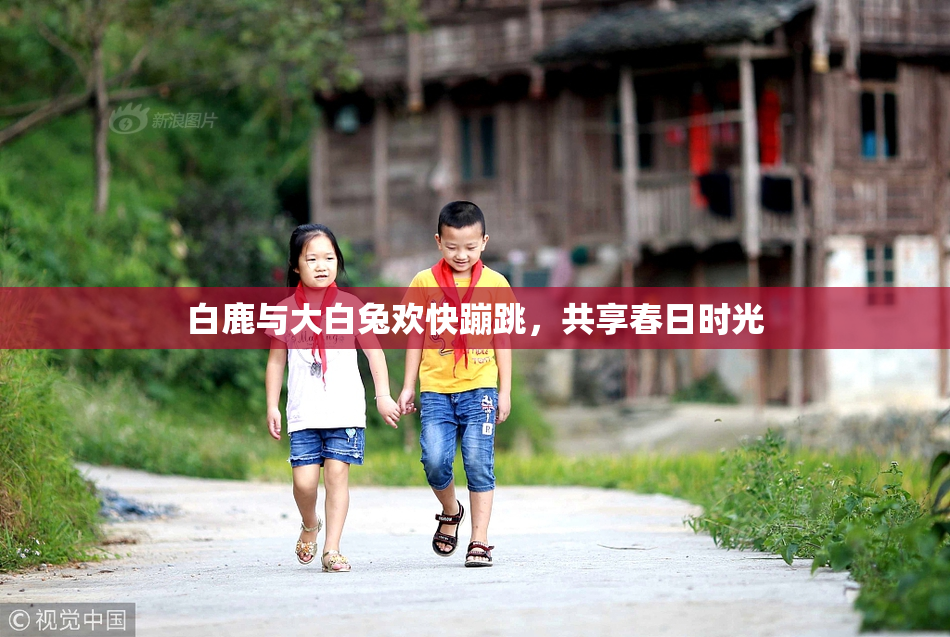 白鹿与大白兔欢快蹦跳，共享春日时光