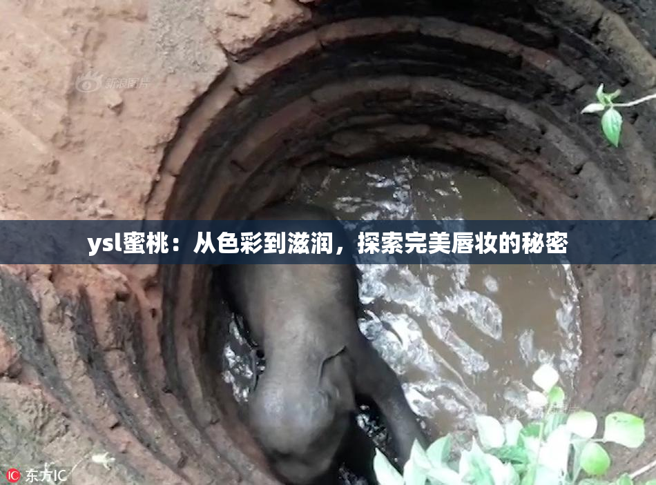 ysl蜜桃：从色彩到滋润，探索完美唇妆的秘密
