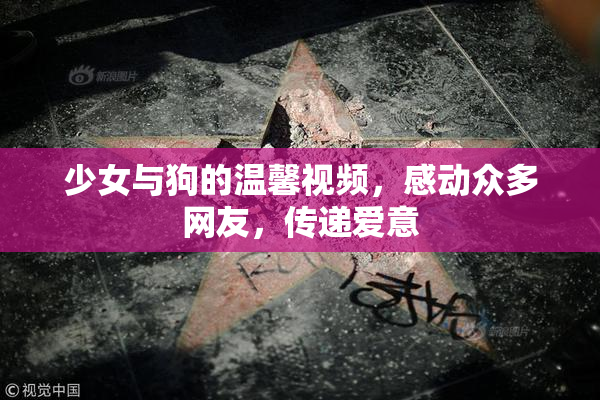 少女与狗的温馨视频，感动众多网友，传递爱意