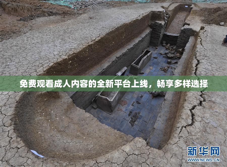 免费观看成人内容的全新平台上线，畅享多样选择