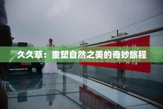 久久草：重塑自然之美的奇妙旅程