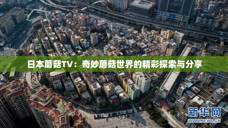 日本蘑菇TV：奇妙蘑菇世界的精彩探索与分享