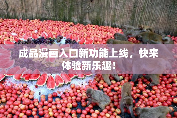 成品漫画入口新功能上线，快来体验新乐趣！