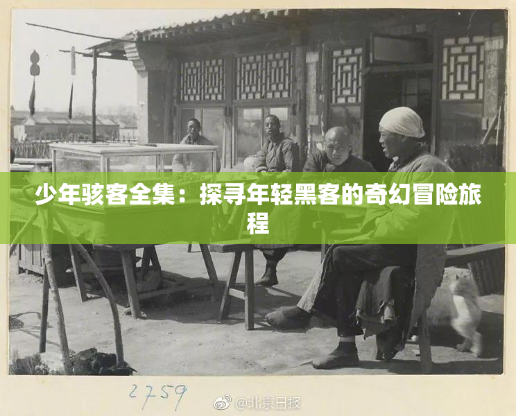 少年骇客全集：探寻年轻黑客的奇幻冒险旅程