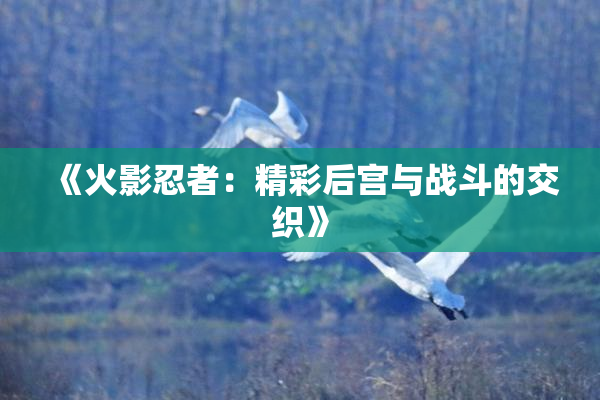 《火影忍者：精彩后宫与战斗的交织》