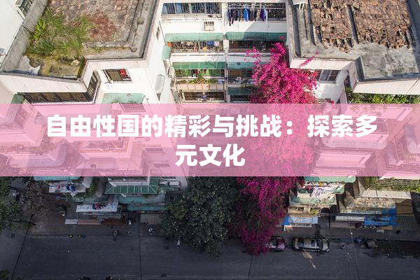 自由性国的精彩与挑战：探索多元文化