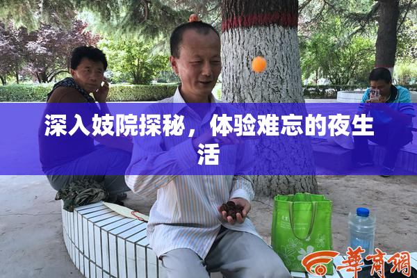深入妓院探秘，体验难忘的夜生活