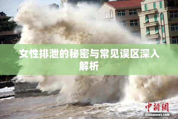 女性排泄的秘密与常见误区深入解析