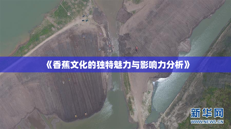 《香蕉文化的独特魅力与影响力分析》