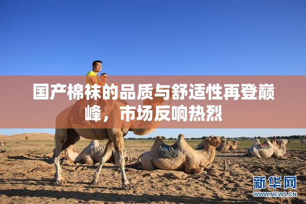 国产棉袜的品质与舒适性再登巅峰，市场反响热烈